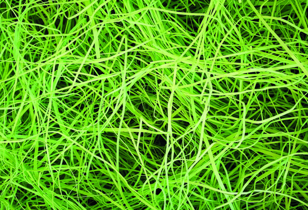 Farripas Verde Ref. 05