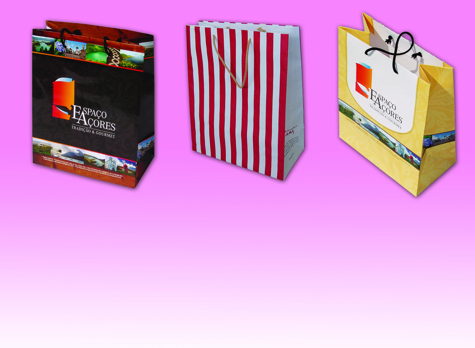 Sacos em Papel Ref. 12